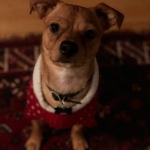 Meet your Posher, Shirley